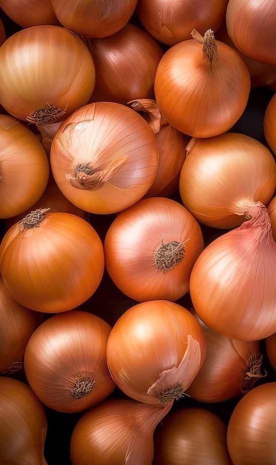Fresh Onions